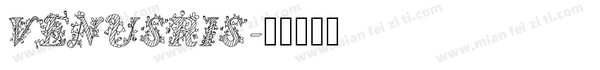 VENUSRIS字体转换