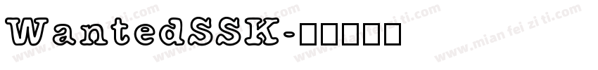 WantedSSK字体转换