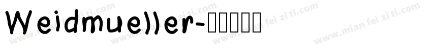Weidmueller字体转换