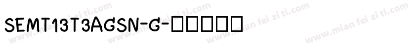 SEMT13T3AGSN-G字体转换