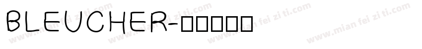 BLEUCHER字体转换