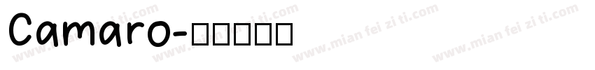 Camaro字体转换