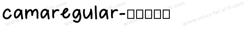camaregular字体转换