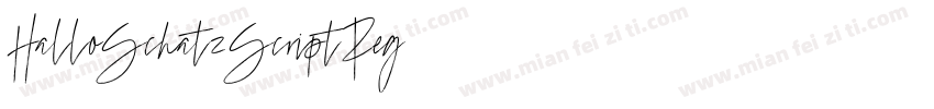 HalloSchatzScriptReg字体转换