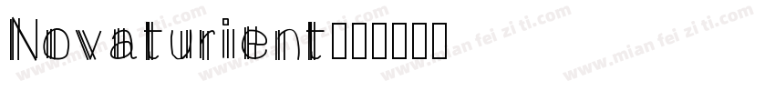 Novaturient字体转换