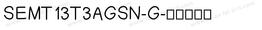 SEMT13T3AGSN-G字体转换