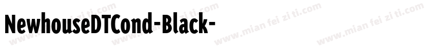 NewhouseDTCond-Black字体转换