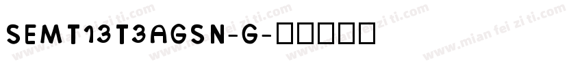 SEMT13T3AGSN-G字体转换