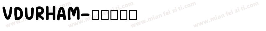 VDURHAM字体转换