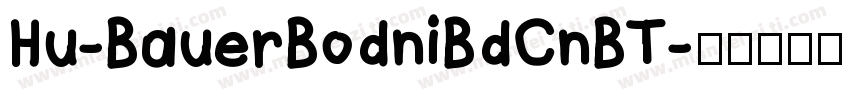 Hu-BauerBodniBdCnBT字体转换