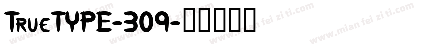 TrueTYPE-309字体转换