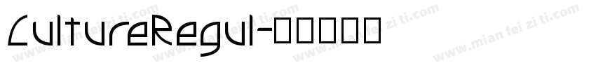 CultureRegul字体转换