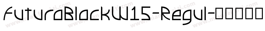 FuturaBlackW15-Regul字体转换