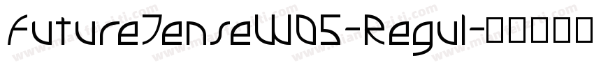 FutureTenseW05-Regul字体转换