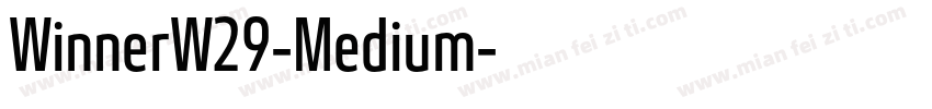 WinnerW29-Medium字体转换