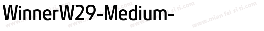 WinnerW29-Medium字体转换