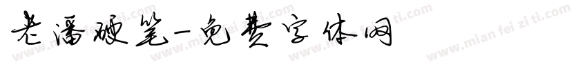 老潘硬笔字体转换