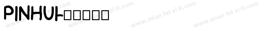 PINHUI字体转换