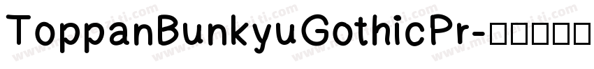 ToppanBunkyuGothicPr字体转换