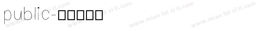 public字体转换