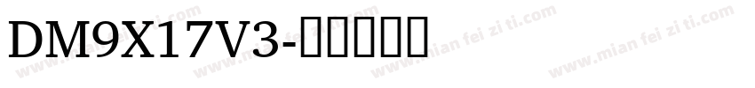 DM9X17V3字体转换