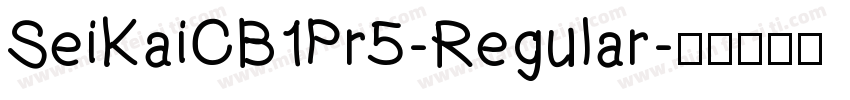 SeiKaiCB1Pr5-Regular字体转换