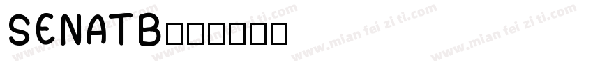 SENATB字体转换