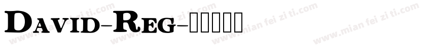 David-Reg字体转换