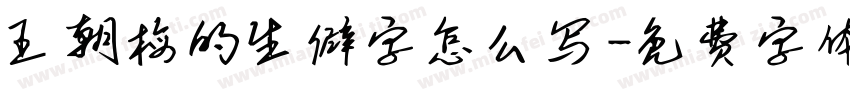 王朝梅的生僻字怎么写字体转换