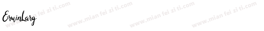 ErwinLarg字体转换