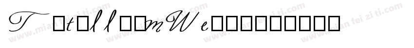 TitilliumWed粗体字体转换