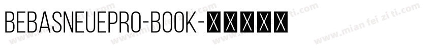 BebasNeuepro-Book字体转换
