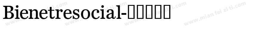 Bienetresocial字体转换