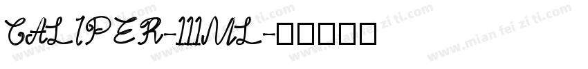 CALIPER-111ML字体转换
