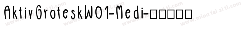 AktivGroteskW01-Medi字体转换
