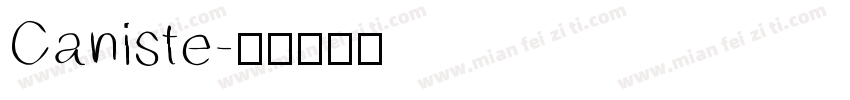 Caniste字体转换