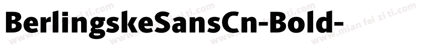 BerlingskeSansCn-Bold字体转换