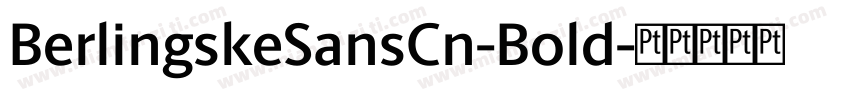 BerlingskeSansCn-Bold字体转换