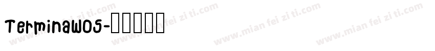 TerminaW05字体转换