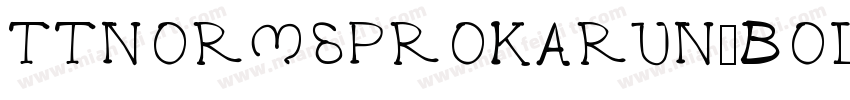 TTNORMSPROKARUN-BOLD字体转换