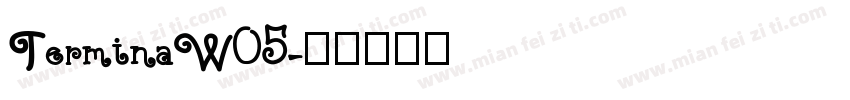 TerminaW05字体转换