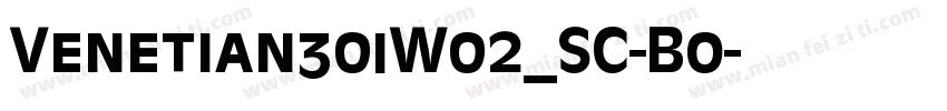 Venetian301W02_SC-Bo字体转换