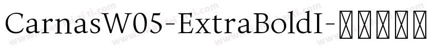 CarnasW05-ExtraBoldI字体转换