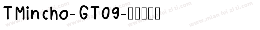 TMincho-GT09字体转换