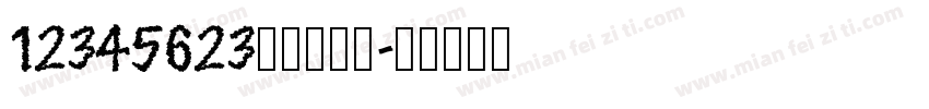 12345623随机数生成字体转换
