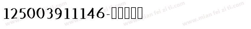 125003911146字体转换