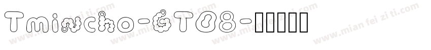 Tmincho-GT08字体转换