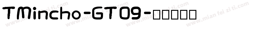 TMincho-GT09字体转换