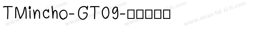 TMincho-GT09字体转换