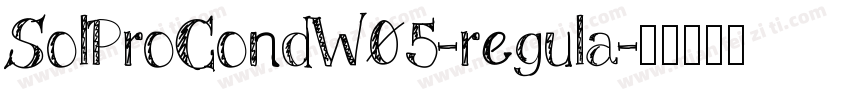 SolProCondW05-regula字体转换